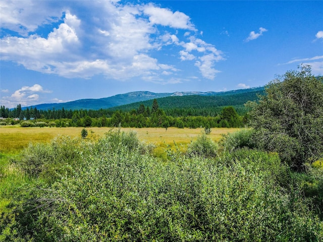 view of landscape featuring a rural view