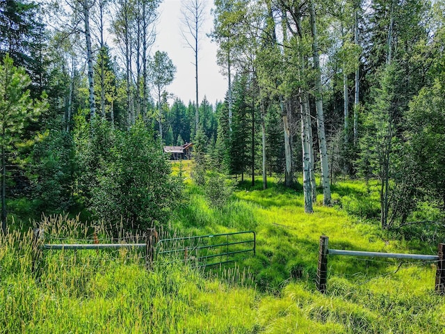 property view of mountains with a view of trees