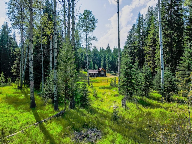 view of yard with fence and a wooded view