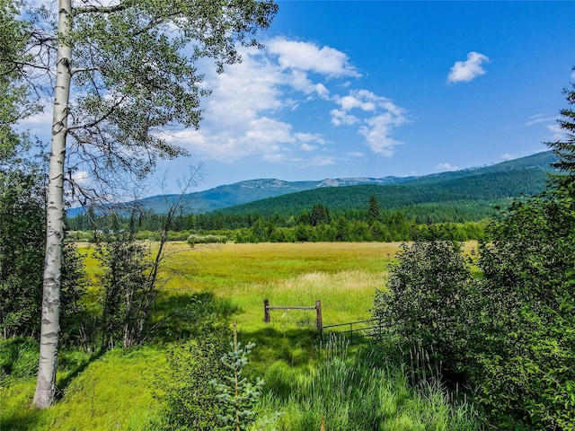 view of local wilderness with a view of trees