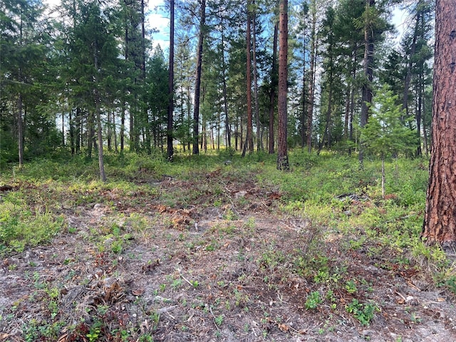 Listing photo 2 for TBD Granite Lake Road, Libby MT 59923