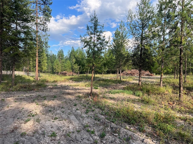 Listing photo 3 for TBD Granite Lake Road, Libby MT 59923