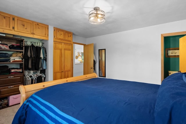 bedroom with carpet and a closet