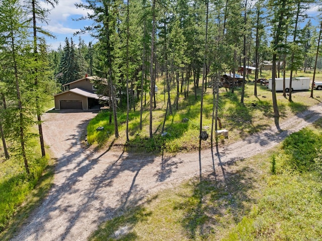 view of home's community with a garage and dirt driveway