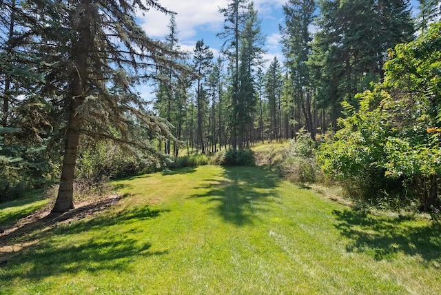 view of yard featuring a wooded view