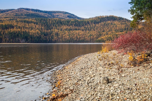 water view with a mountain view and a wooded view