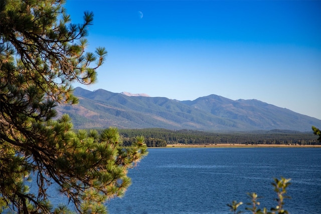 water view featuring a mountain view