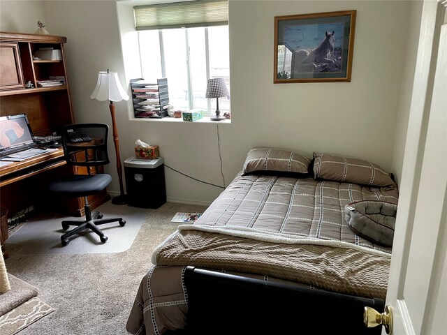 bedroom with carpet floors