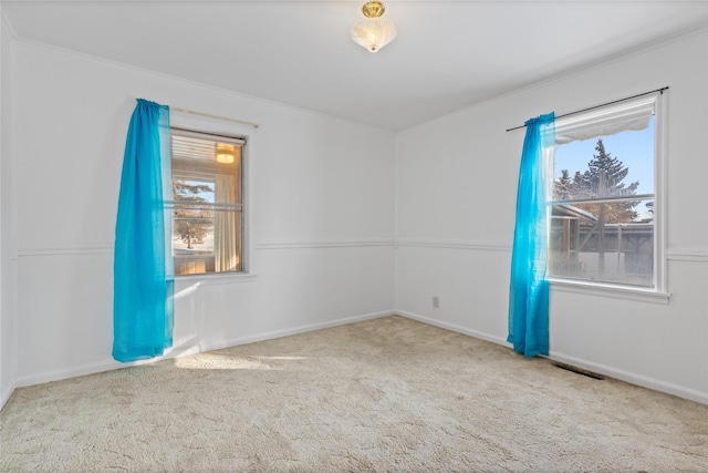 carpeted empty room featuring a wealth of natural light