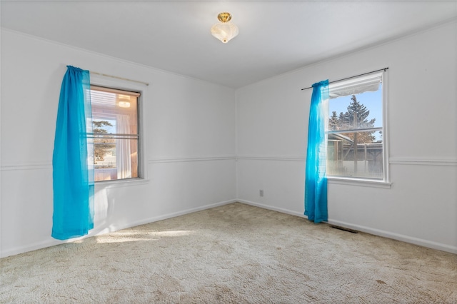 carpeted empty room with a healthy amount of sunlight