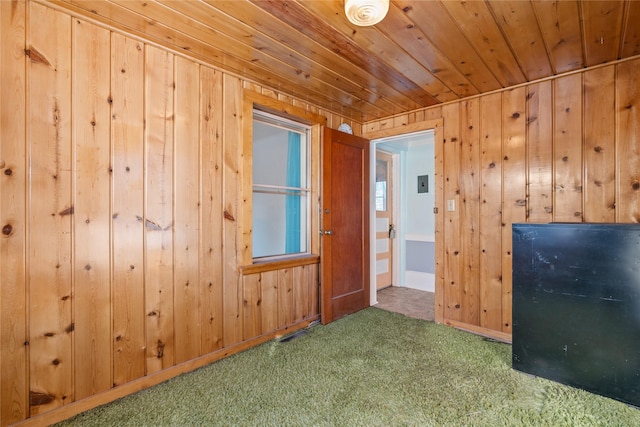 interior space featuring wooden walls