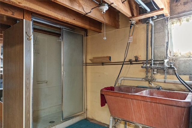 basement with sink