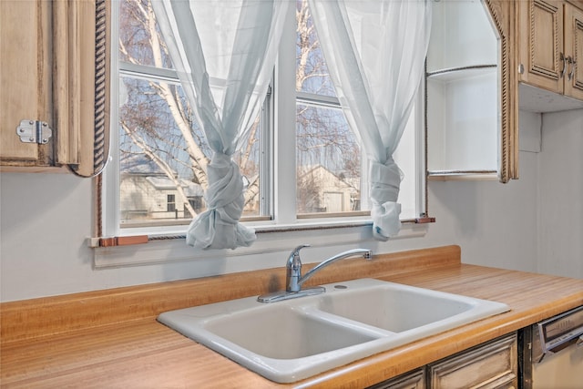 kitchen with sink and stainless steel dishwasher