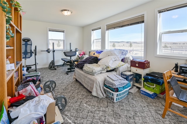 miscellaneous room featuring carpet and plenty of natural light