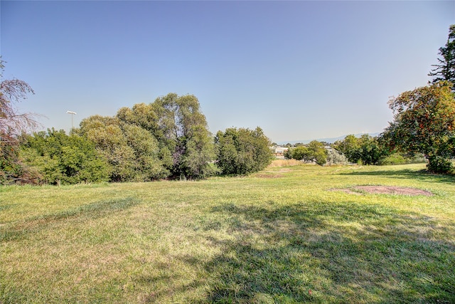 view of yard with a rural view