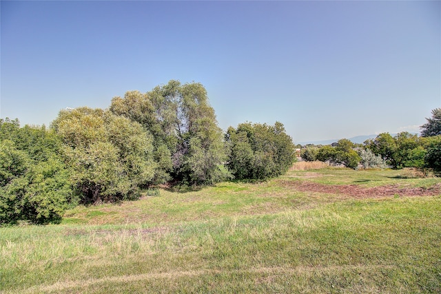 view of local wilderness featuring a rural view