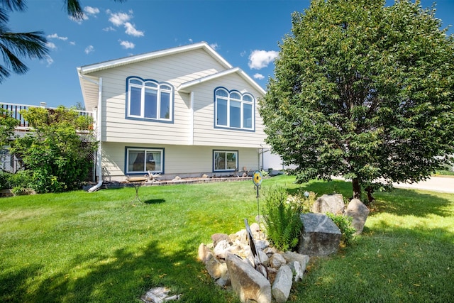 rear view of house featuring a yard