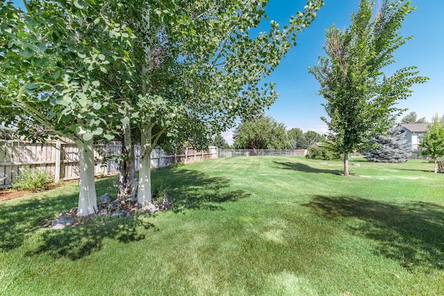 view of yard featuring a fenced backyard