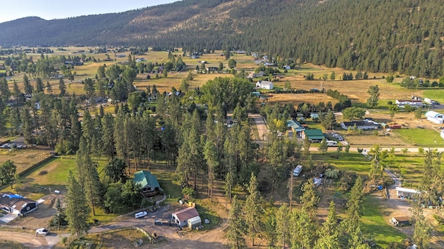 aerial view with a mountain view and a wooded view