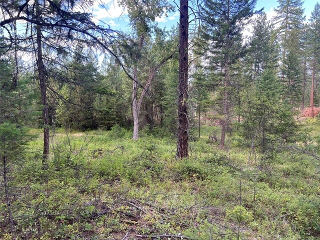 TBD Granite Lake Rd Unit 6, Libby, MT 59923