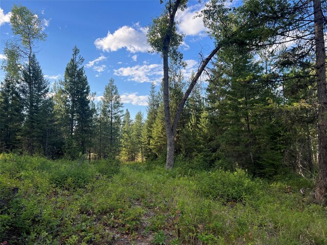TBD Granite Lake Rd Unit 6, Libby, MT 59923