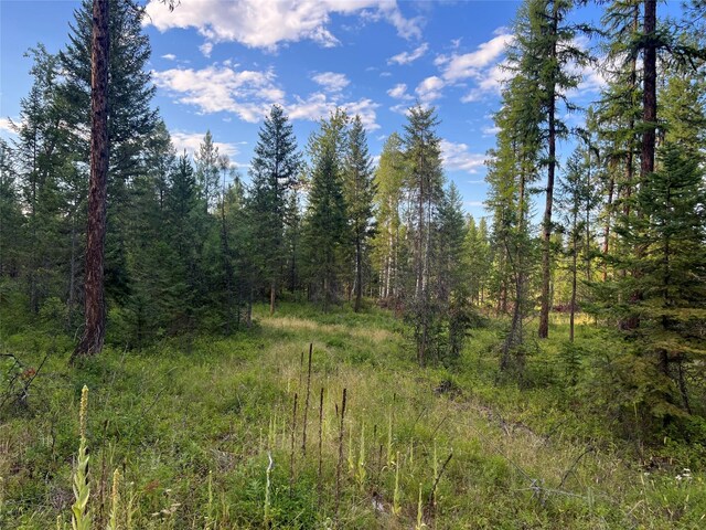 TBD Granite Lake Rd Unit 6, Libby, MT 59923
