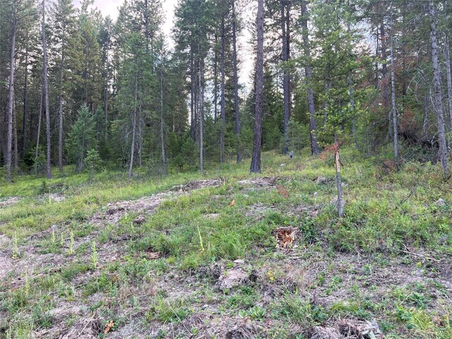 TBD Granite Lake Rd Unit 6, Libby, MT 59923