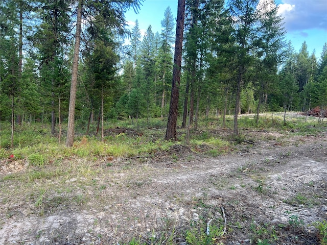 Listing photo 2 for TBD Granite Lake Road, Libby MT 59923