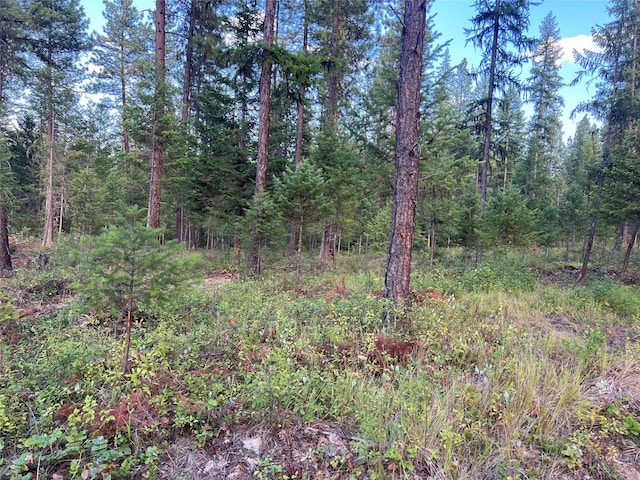 Listing photo 3 for TBD Granite Lake Road, Libby MT 59923