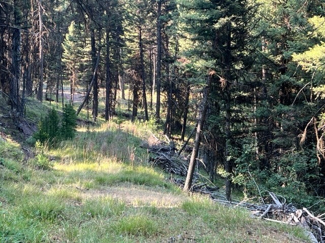 433 Stage Coach Dr, Seeley Lake, MT 59868