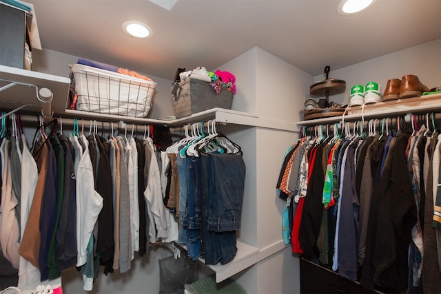 view of spacious closet