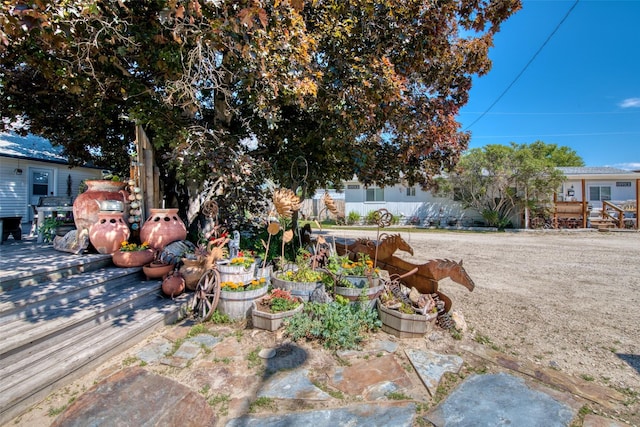 view of yard with a garden