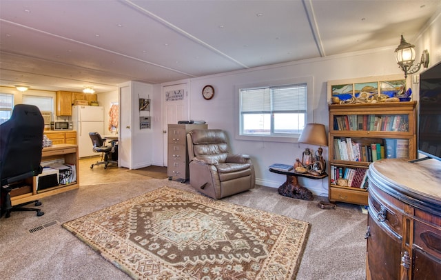 office area featuring light carpet, visible vents, and baseboards