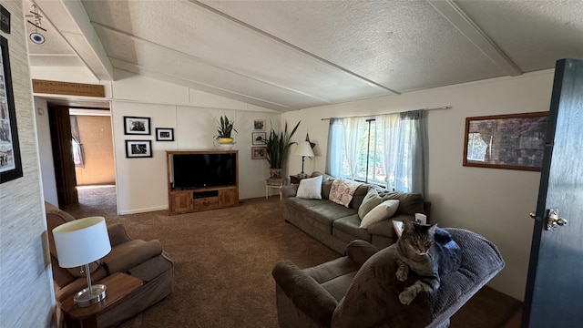 living room featuring lofted ceiling, a textured ceiling, and carpet