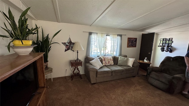 living room with a textured ceiling and carpet