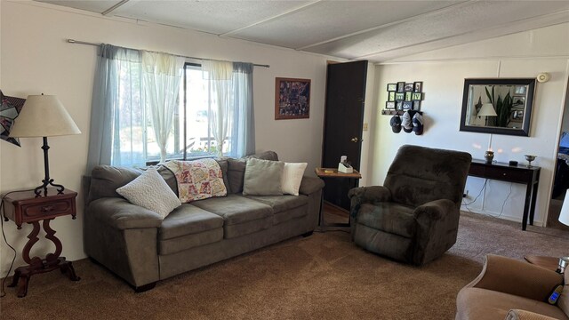 carpeted living room with lofted ceiling and a textured ceiling