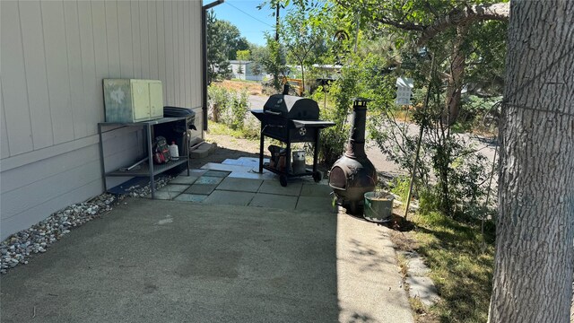 view of patio / terrace with grilling area