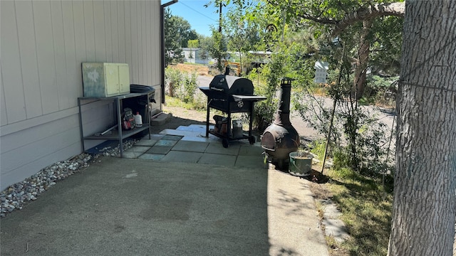 view of patio / terrace featuring grilling area