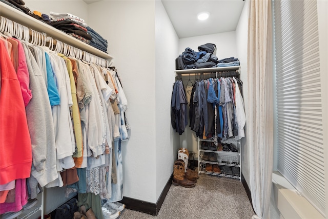 walk in closet with carpet