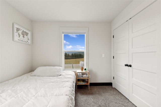 carpeted bedroom with a closet