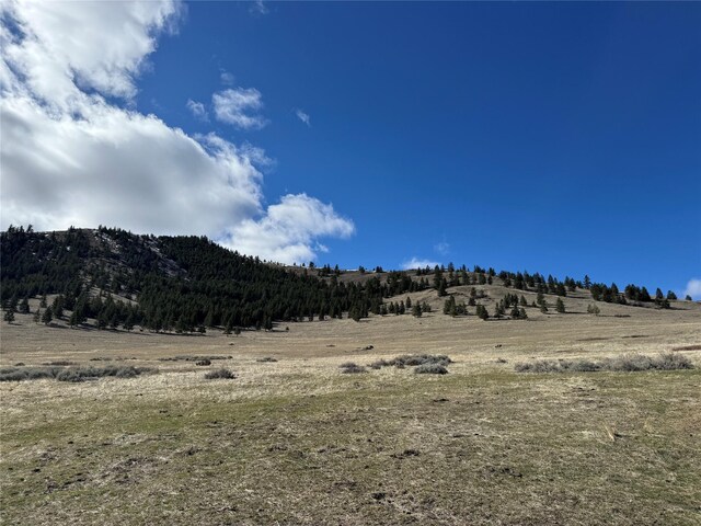 Listing photo 2 for NHN Wilks Gulch Rd, Hot Springs MT 59845