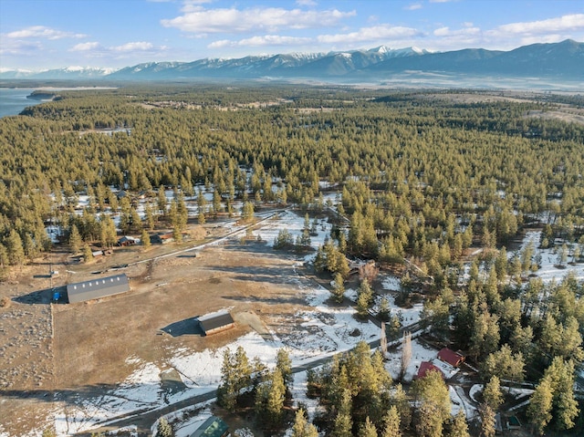 36 Joe Rd, Eureka, MT 59917