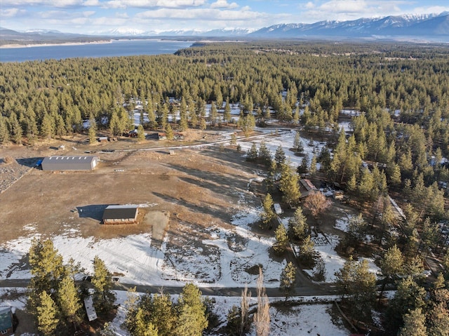 36 Joe Rd, Eureka, MT 59917