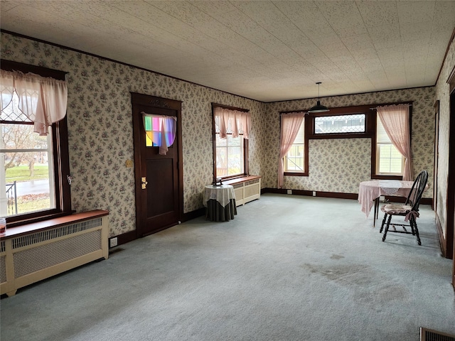 interior space featuring carpet flooring, radiator heating unit, a textured ceiling, and plenty of natural light