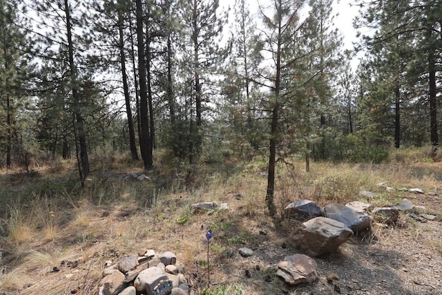 view of local wilderness featuring a view of trees