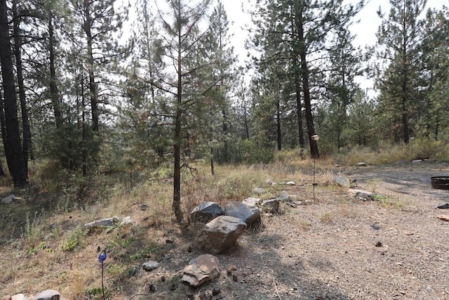 view of local wilderness featuring a view of trees