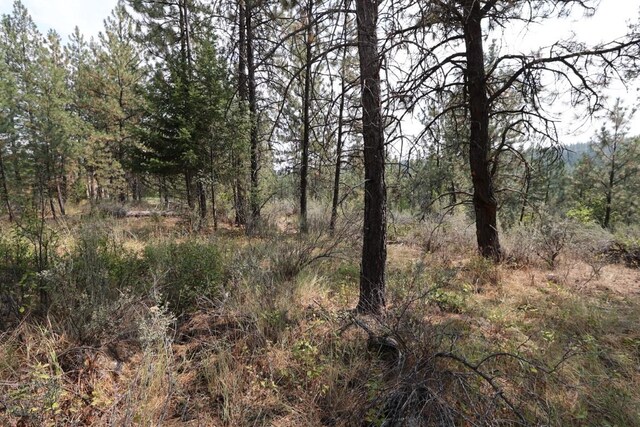 view of local wilderness featuring a wooded view