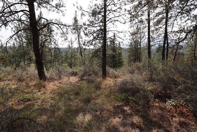 view of nature with a view of trees