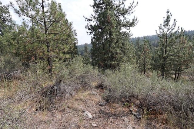 view of nature featuring a forest view