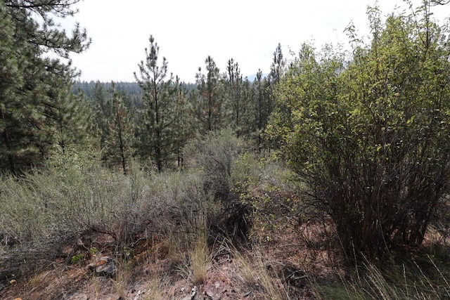 view of local wilderness with a view of trees